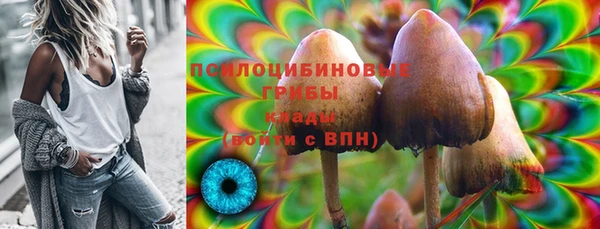 mix Богородицк